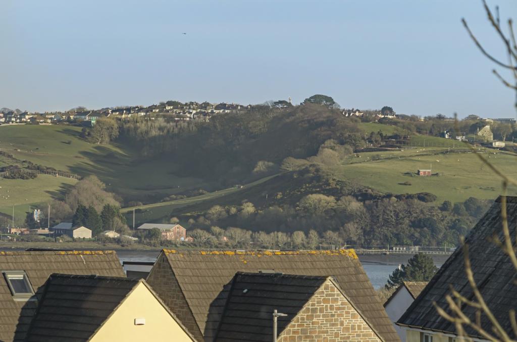 Zoomed View
