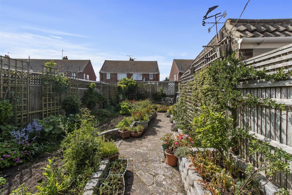 garden #3.jpg