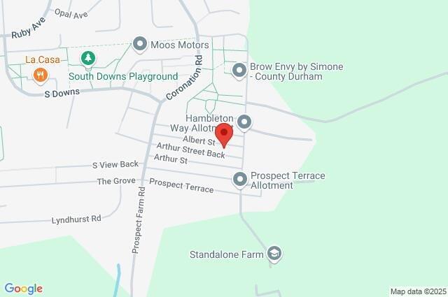 Google Maps Image
