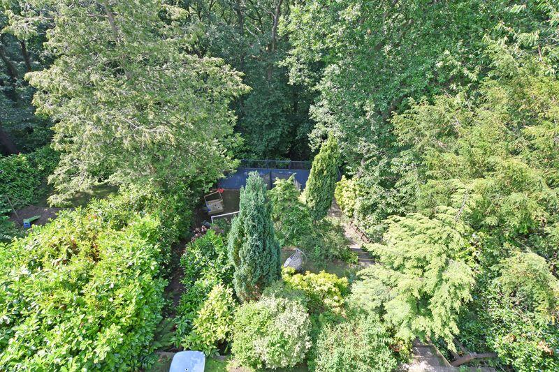 View from Balcony 