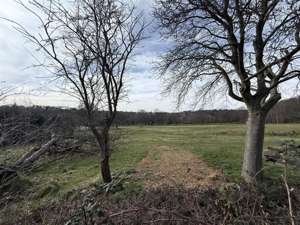 IMG_4027.jpeg