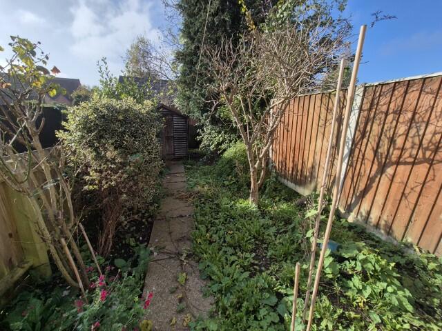 20241031 123045 (Small) T202411041314.jpg