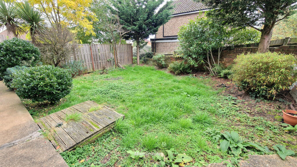 SIDE GARDEN
