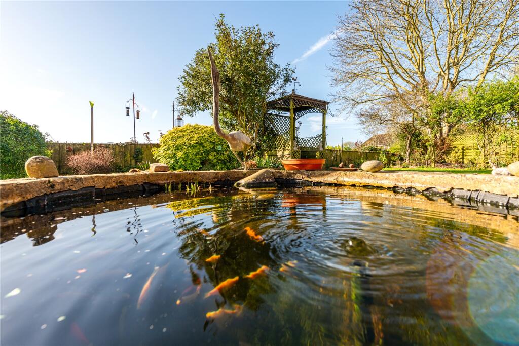 Pond