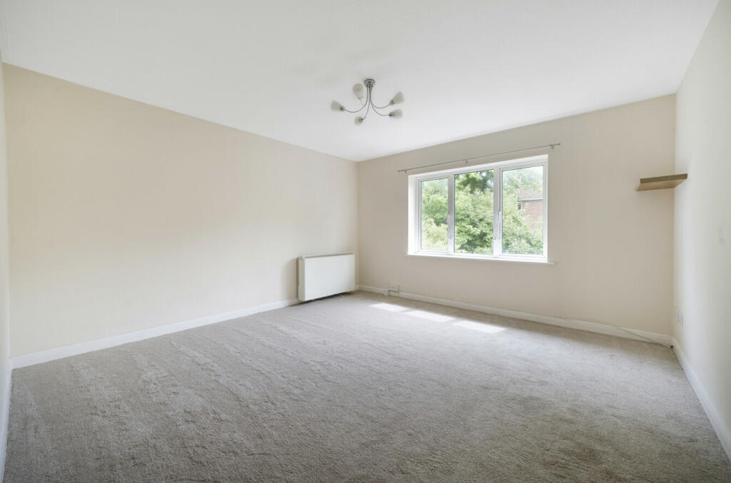 1120937 (3).jpg