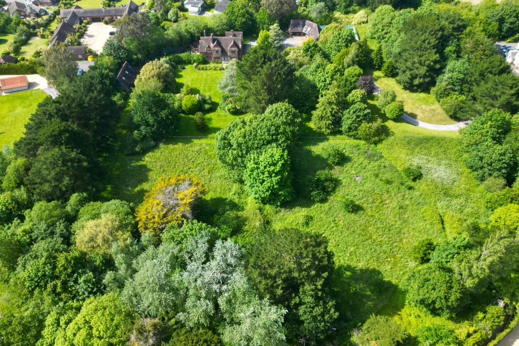 Untitled design (2).png