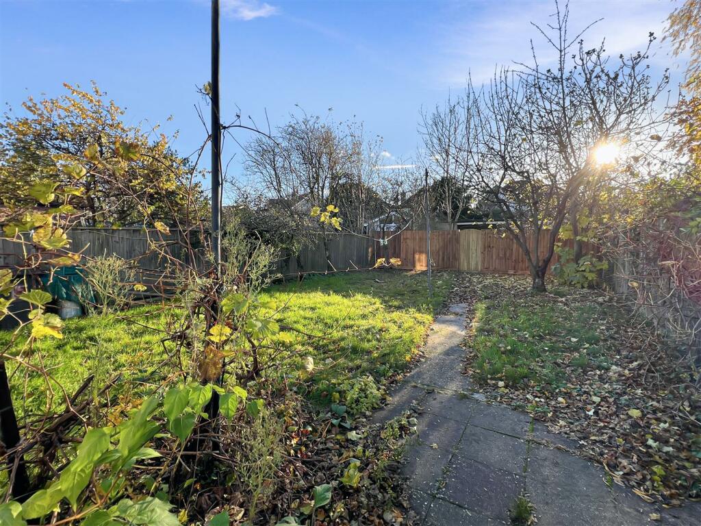 back garden.jpg