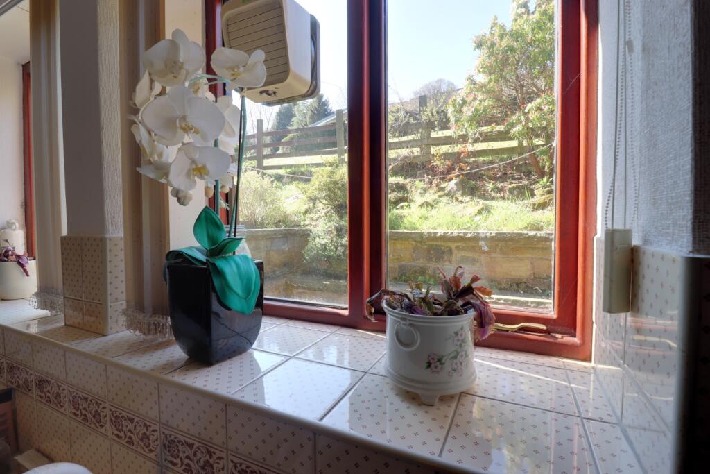 View from kitchen