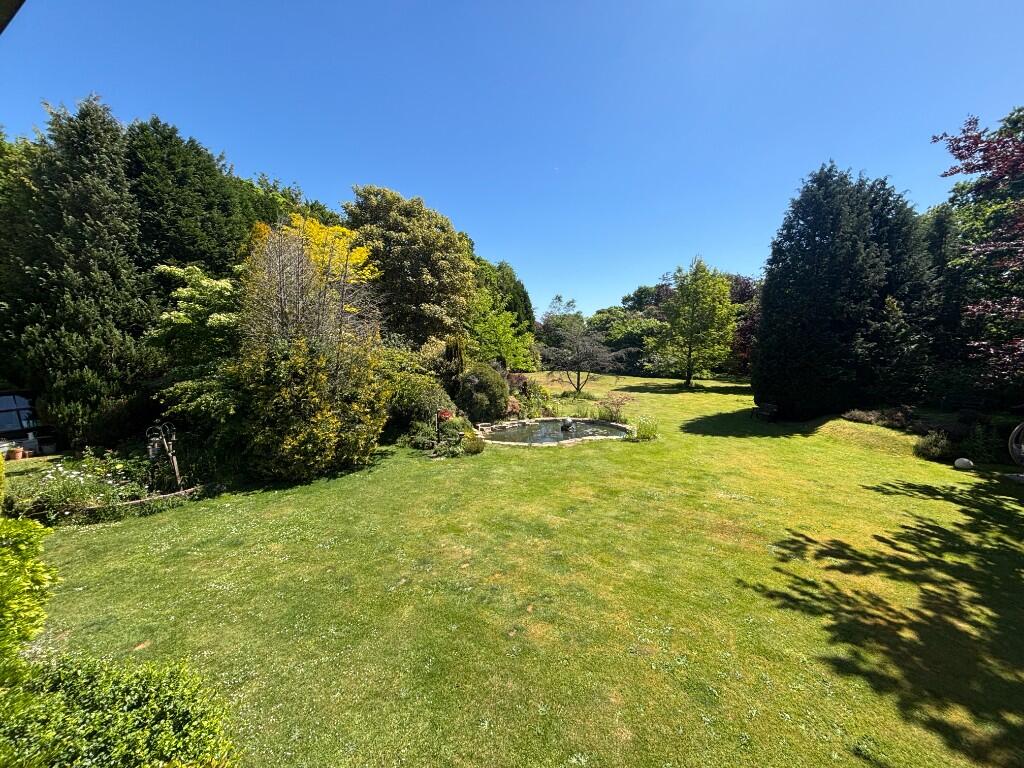 Stunning Grounds 