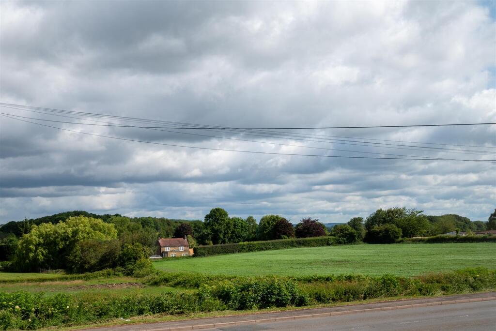 DSC_6567.jpg
