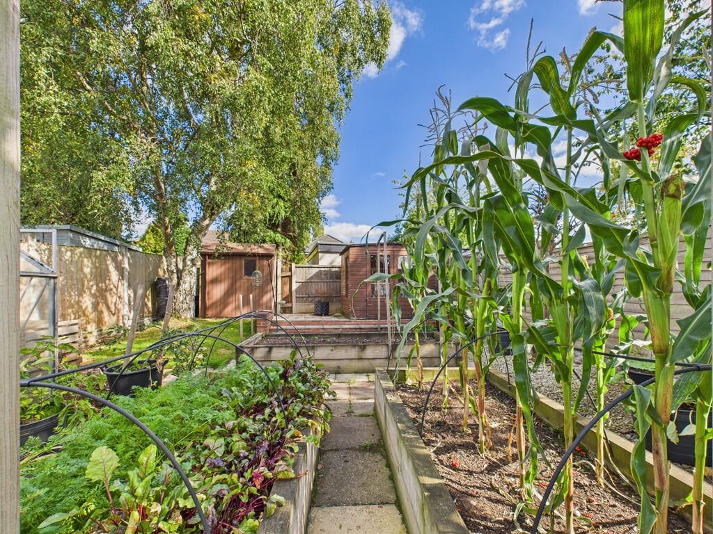 CAM03830G0-PR0220...