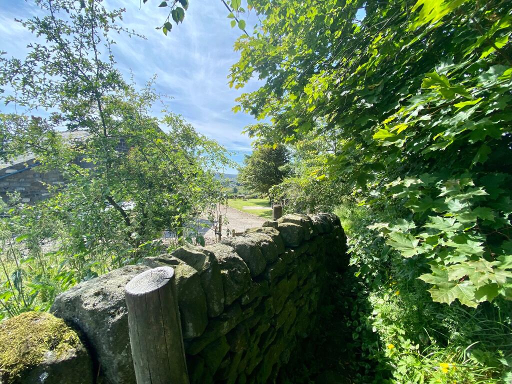 Photograph 18
