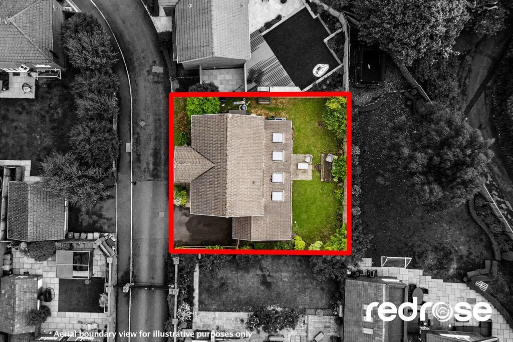 web_8 Blossom Gro...