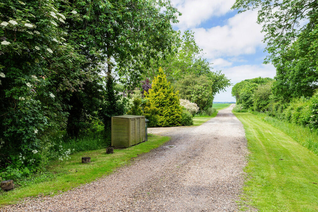 71431_The-Dairies...