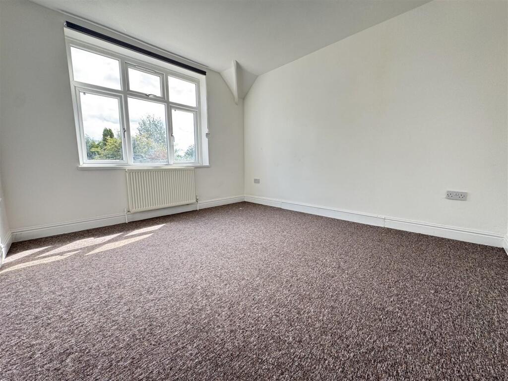 IMG_8465 (Large).JPG