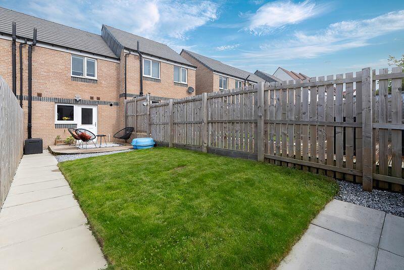 Back Garden