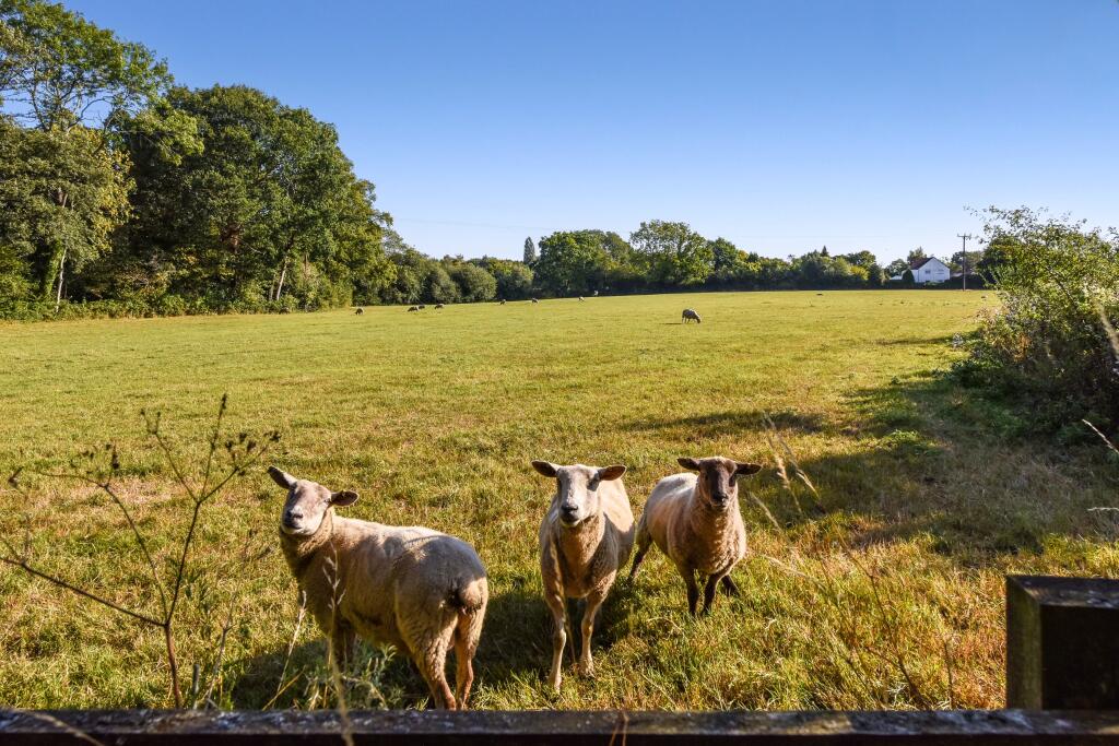 Paddocks