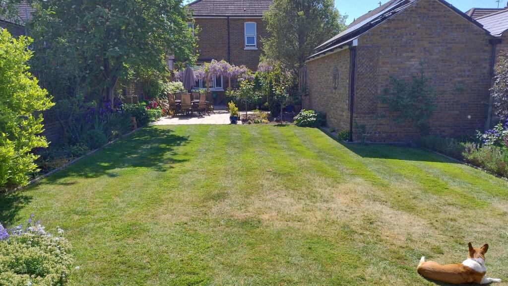 Garden (2)