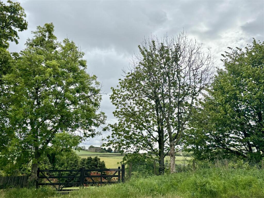 image00003.jpeg
