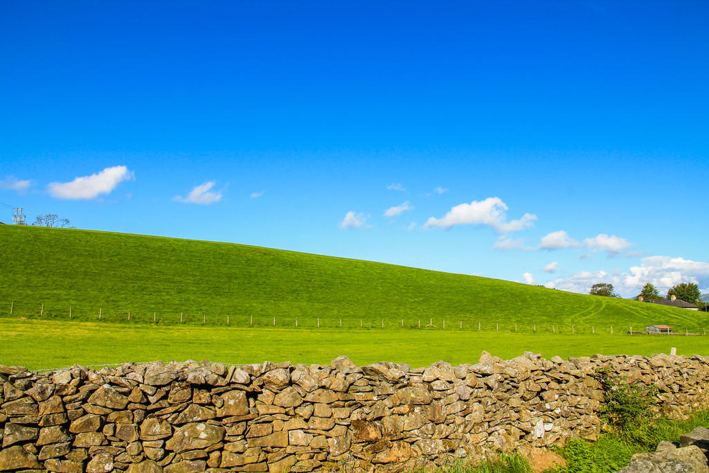 Open fields to th...