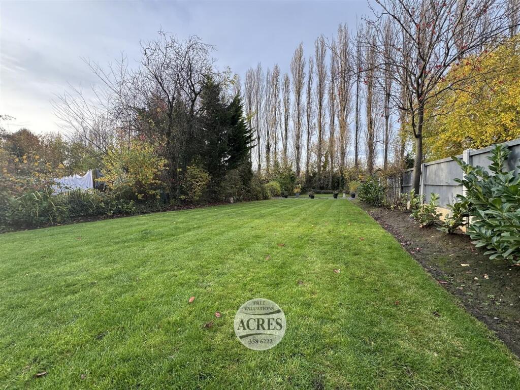 IMG_7236 (Large).jpg