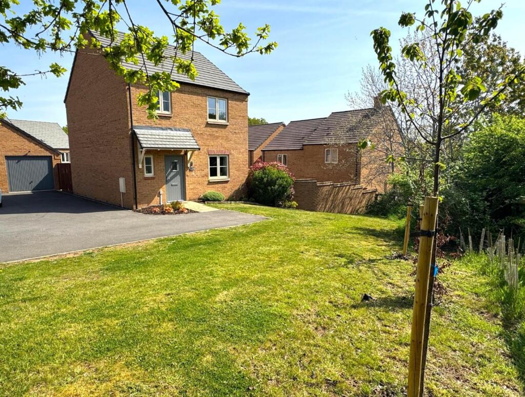 WhatsApp Image 2025-04-28 at 13.10.13_db03a2f5.jpg