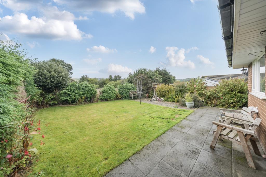 Photos