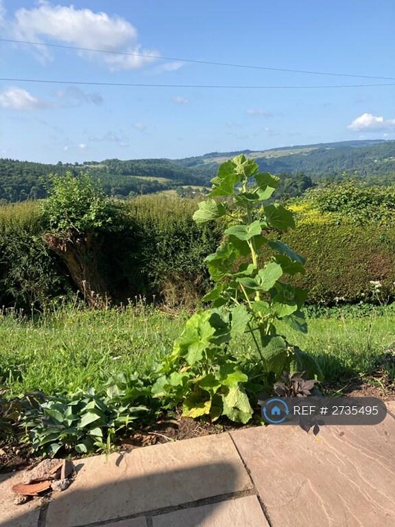 a View From Table