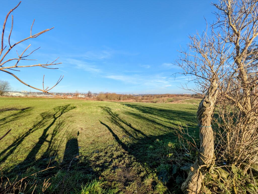 PXL_20250115_115059456~2