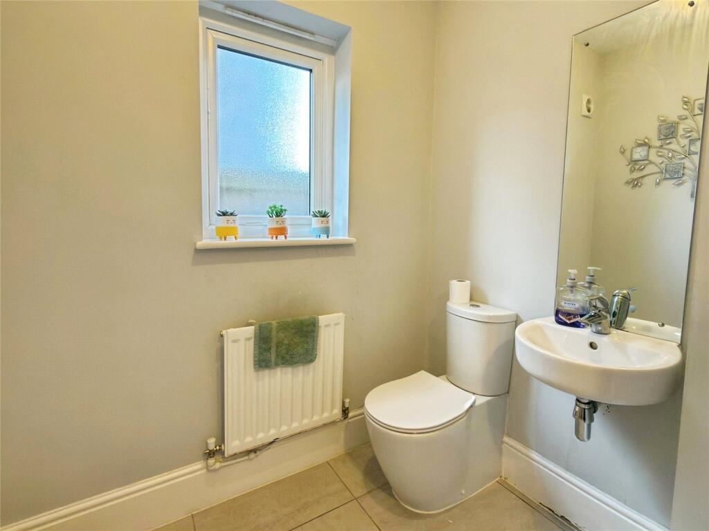 Picture 7
