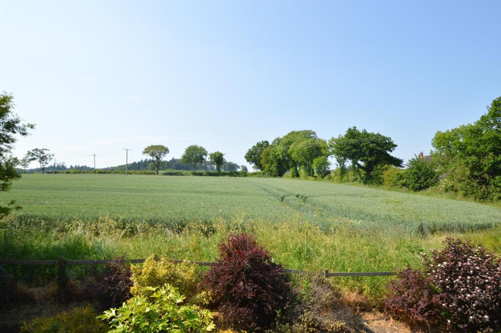 DSC_2543.jpg