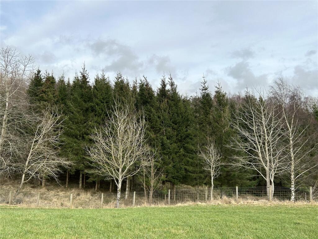 Woodland