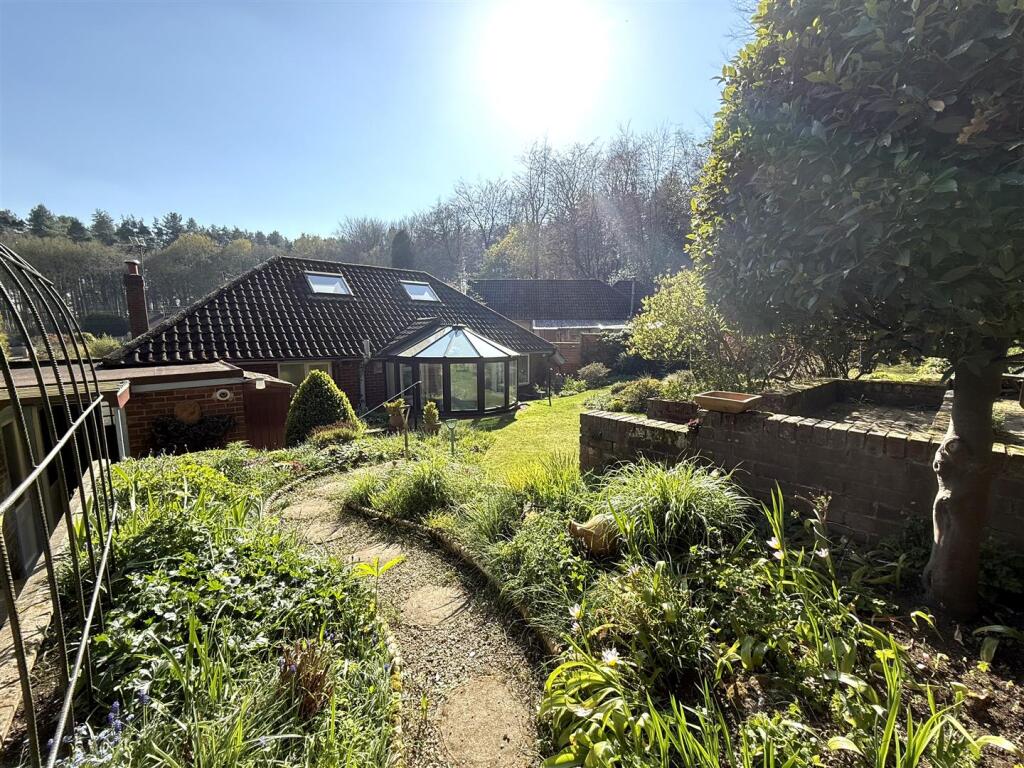 16 the pingle new.jpeg