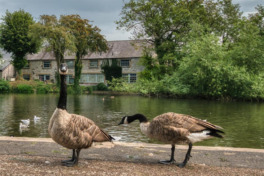 Saxton Mee 1 Rutland Riverside 0042.jpg