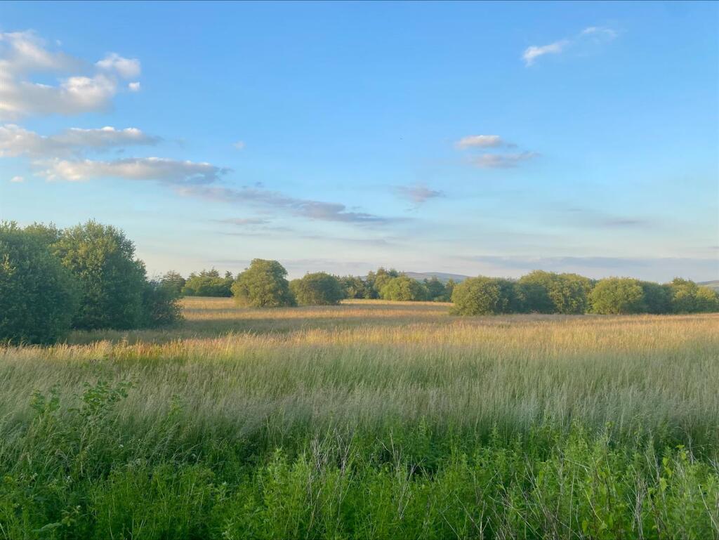 processed-D7285F58-0010-4589-81D1-C314928EB5DD.jpe