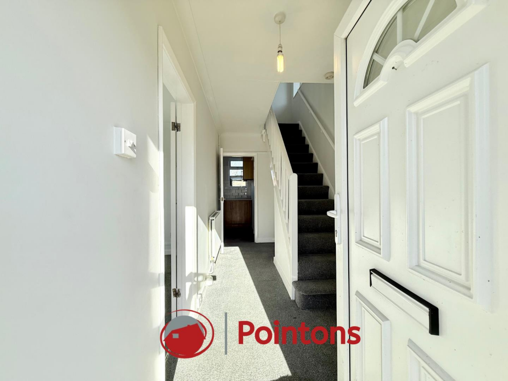 Logo image  (15).png