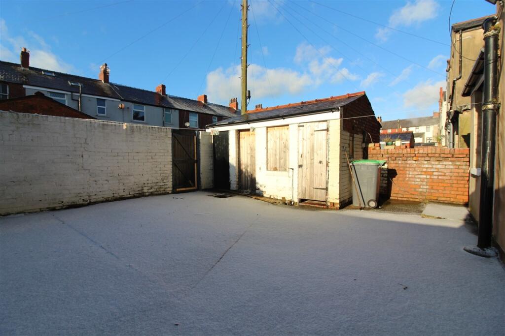 IMG 3913  Medium  T202501100741.jpg