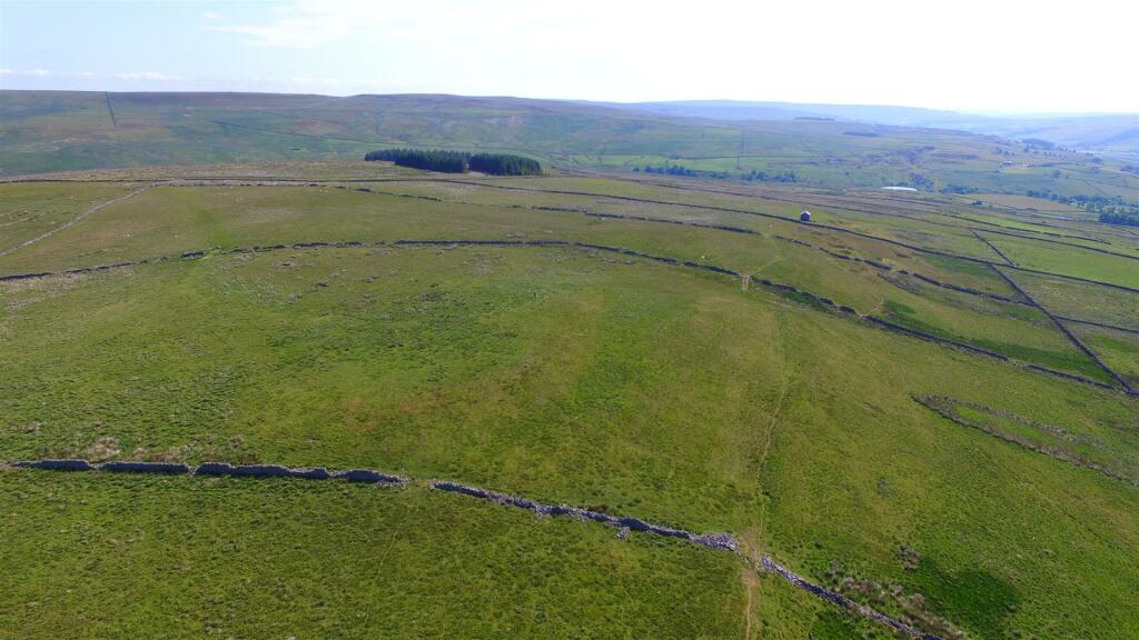 DJI_0810.JPG