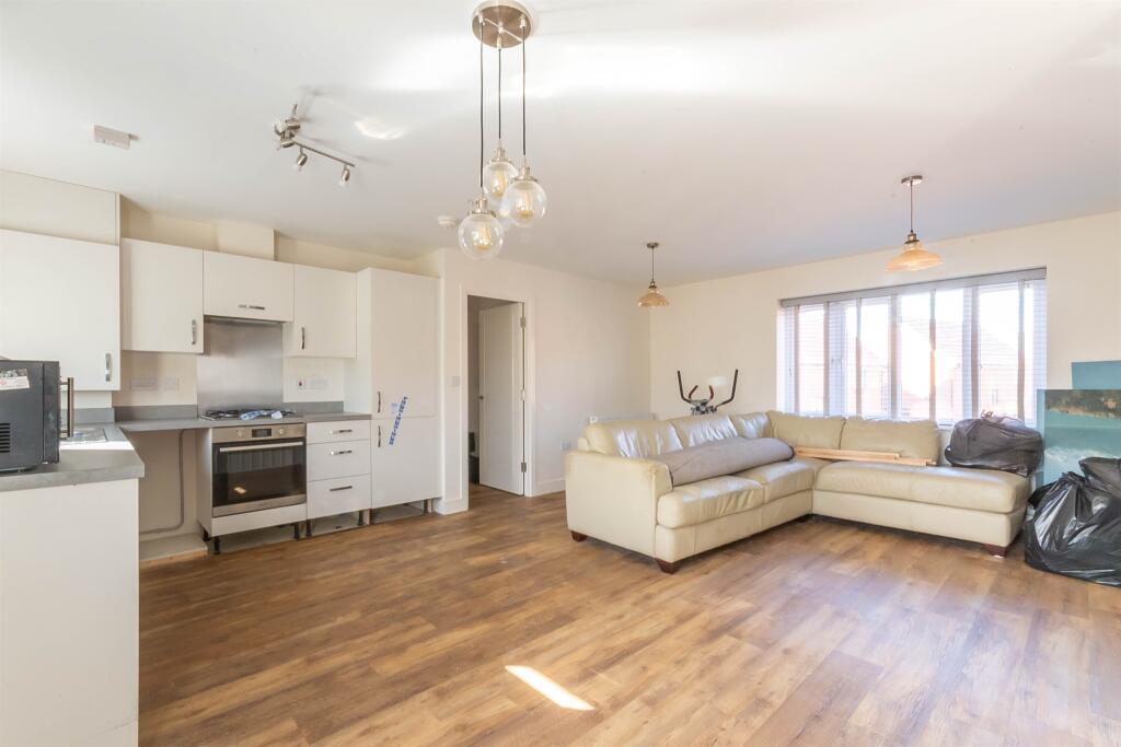 Kitchen / Living Area