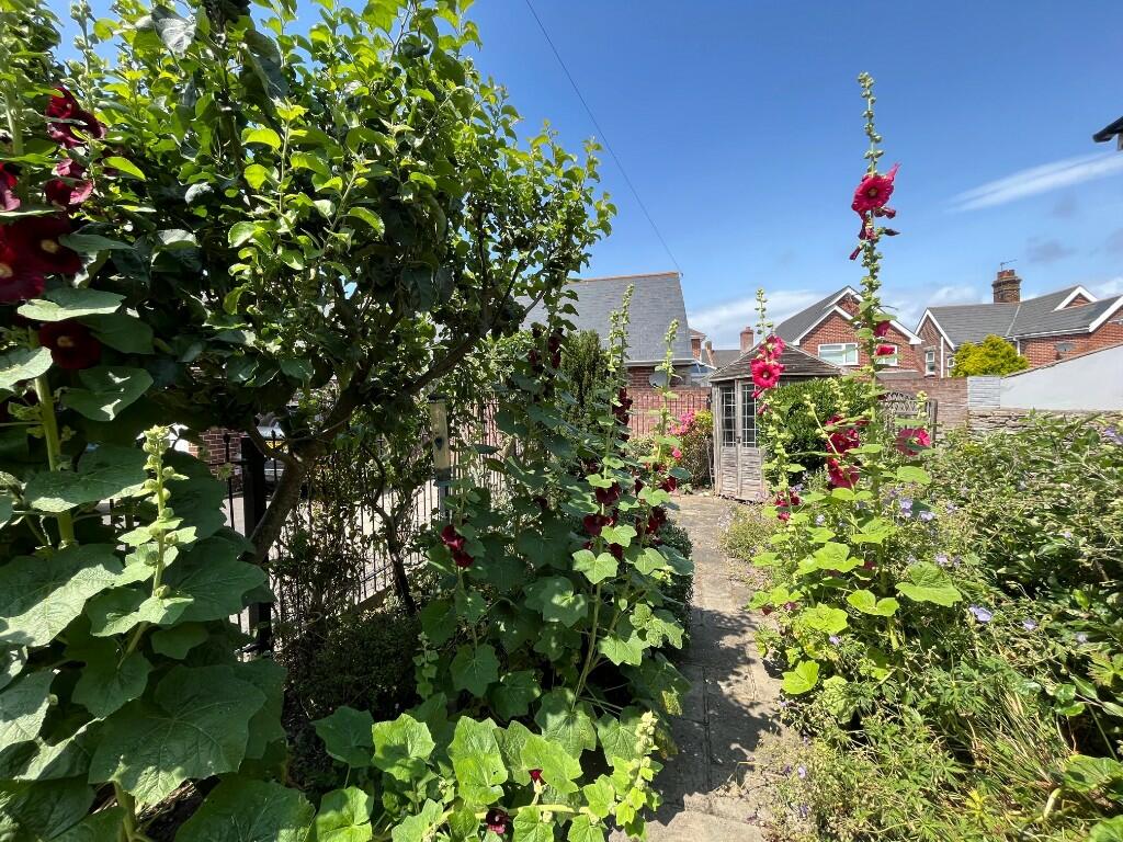Garden (summer)