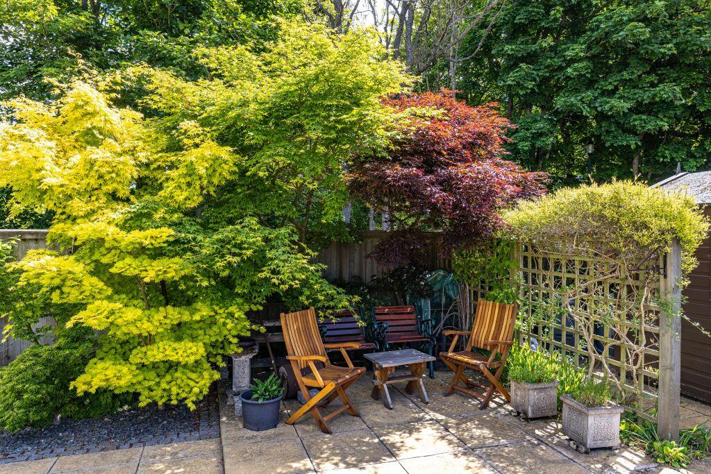 Property Image 48