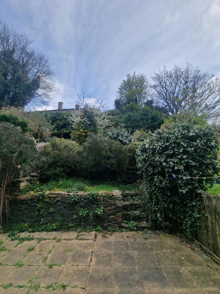 Garden 2
