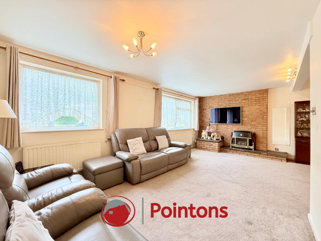 Logo image  (11).png