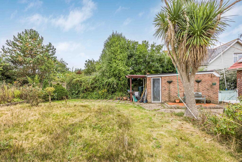 20240911135418046_original [90642240].jpg