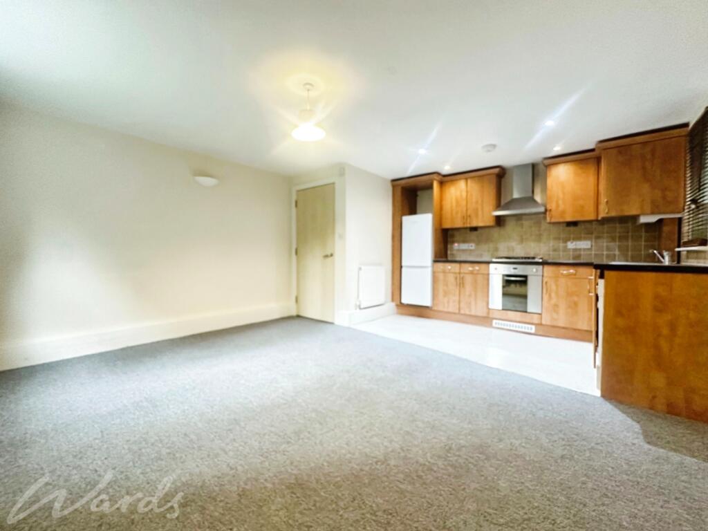 Living/Kitchen Area
