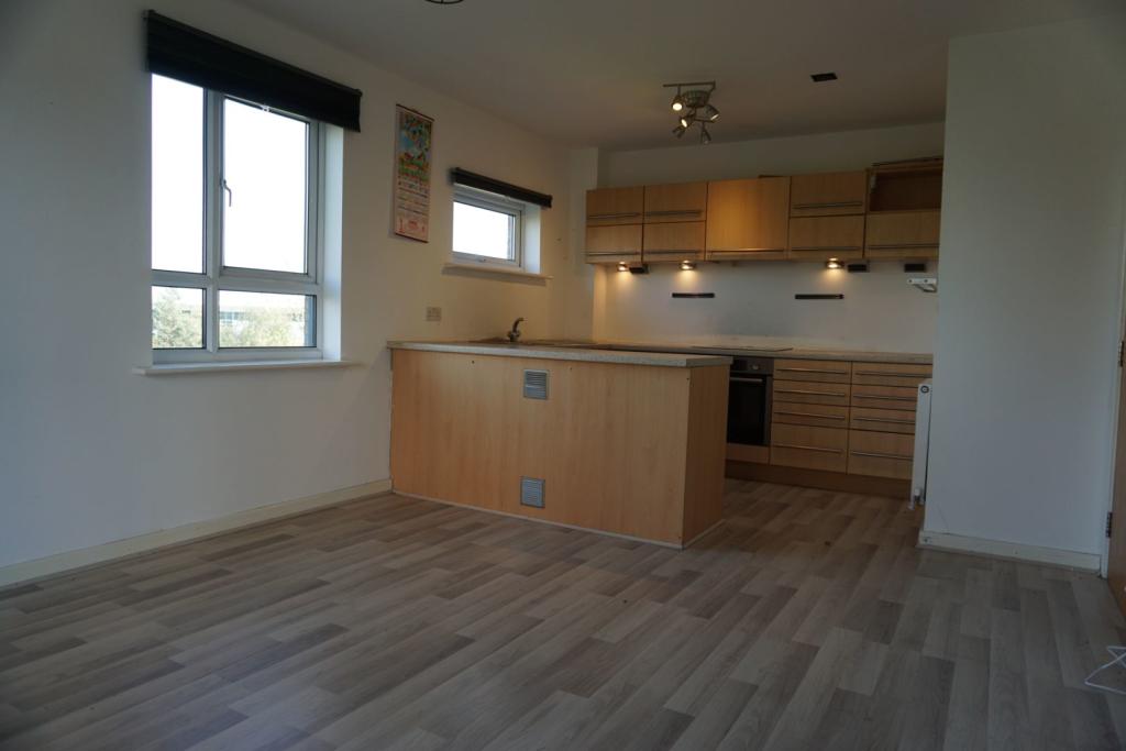 Lounge / Kitchen