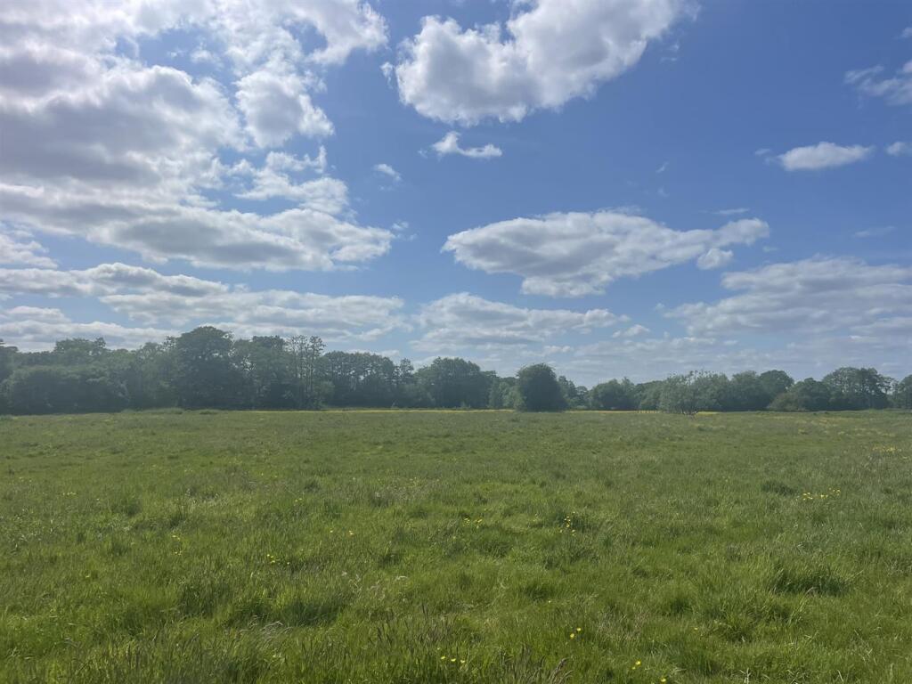 Lot 5