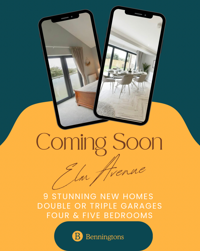 Untitled (1080 x 1350 px)