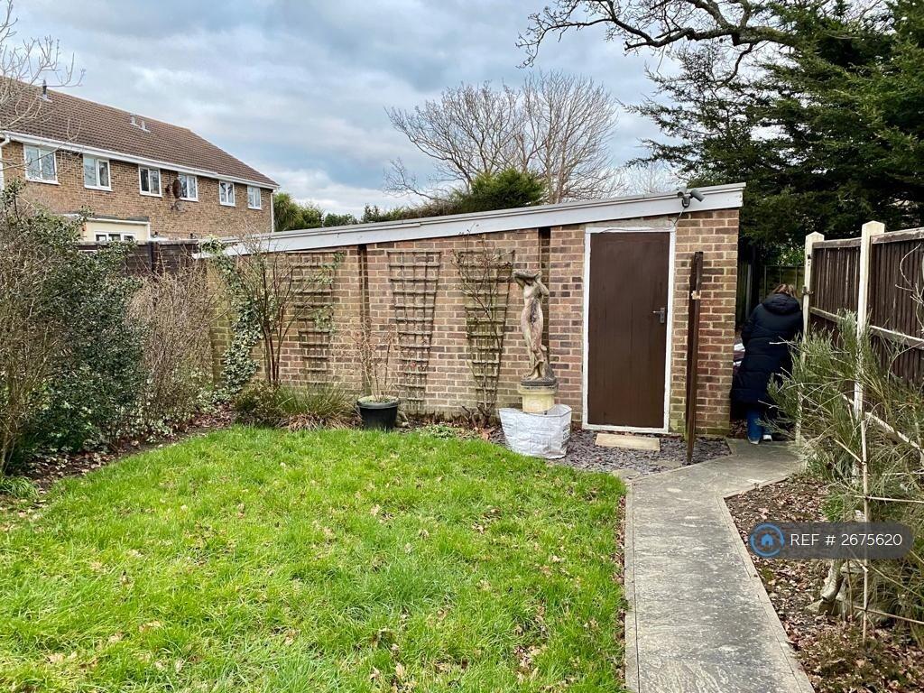 Back Garden