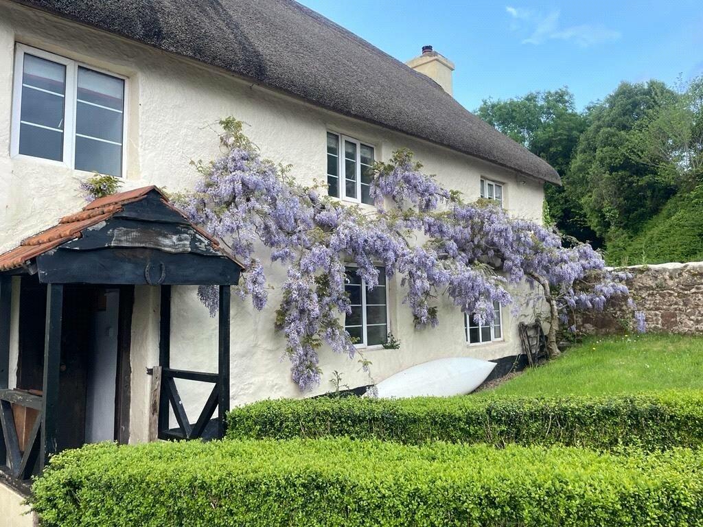 Spring Wisteria